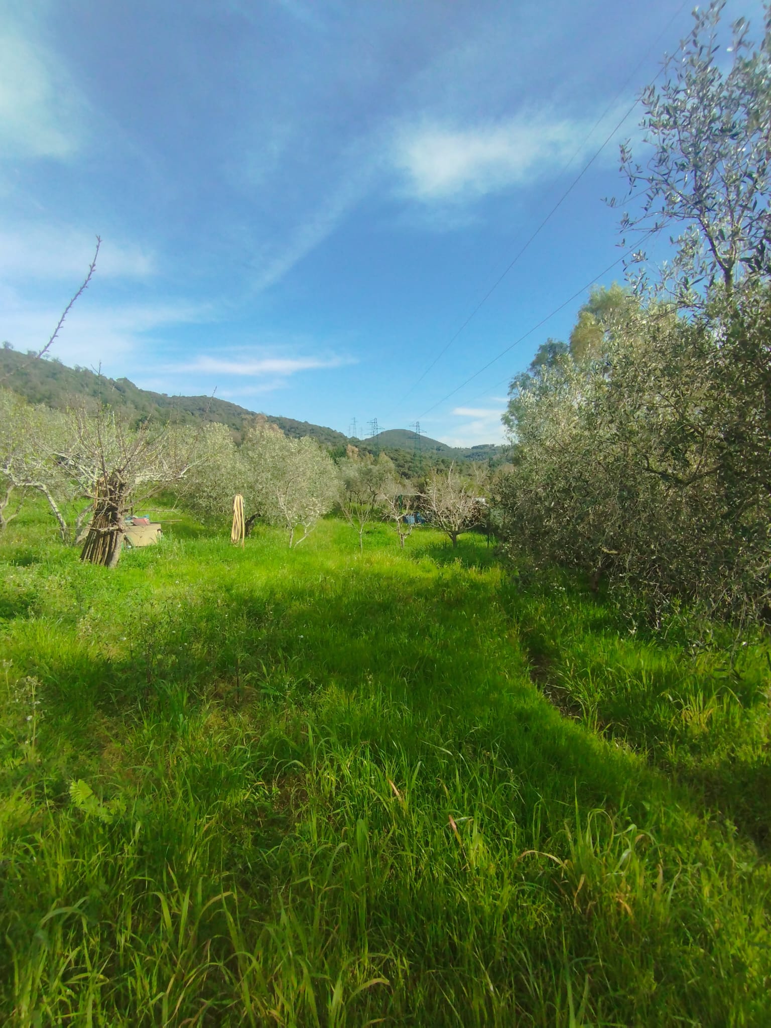 Periferia Sud, ,Fondo,Vendita,1392