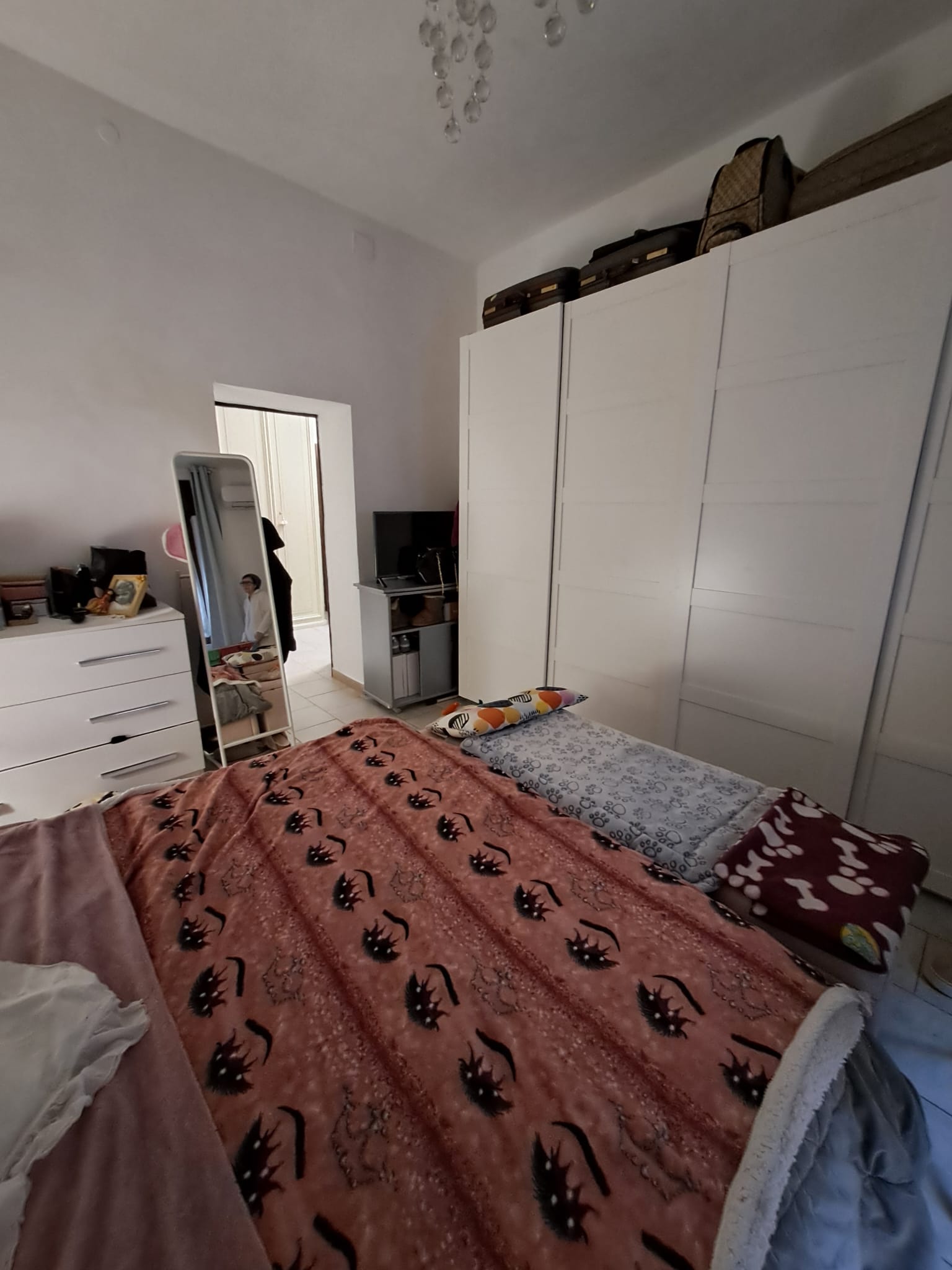 Centro Storico, 1 Camera da Letto Bedrooms, ,1 BagnoBathrooms,Appartamento,Vendita,1441