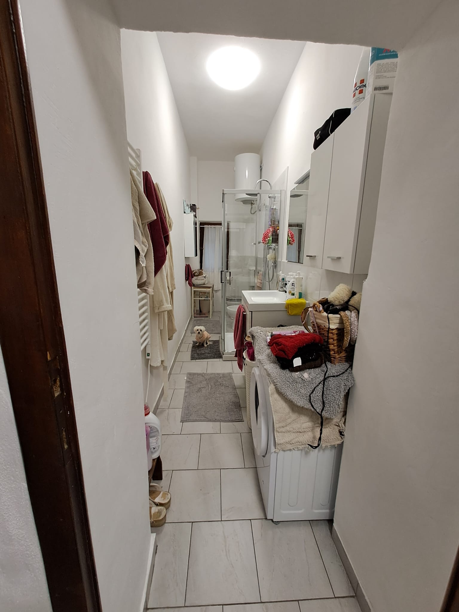 Centro Storico, 1 Camera da Letto Bedrooms, ,1 BagnoBathrooms,Appartamento,Vendita,1441