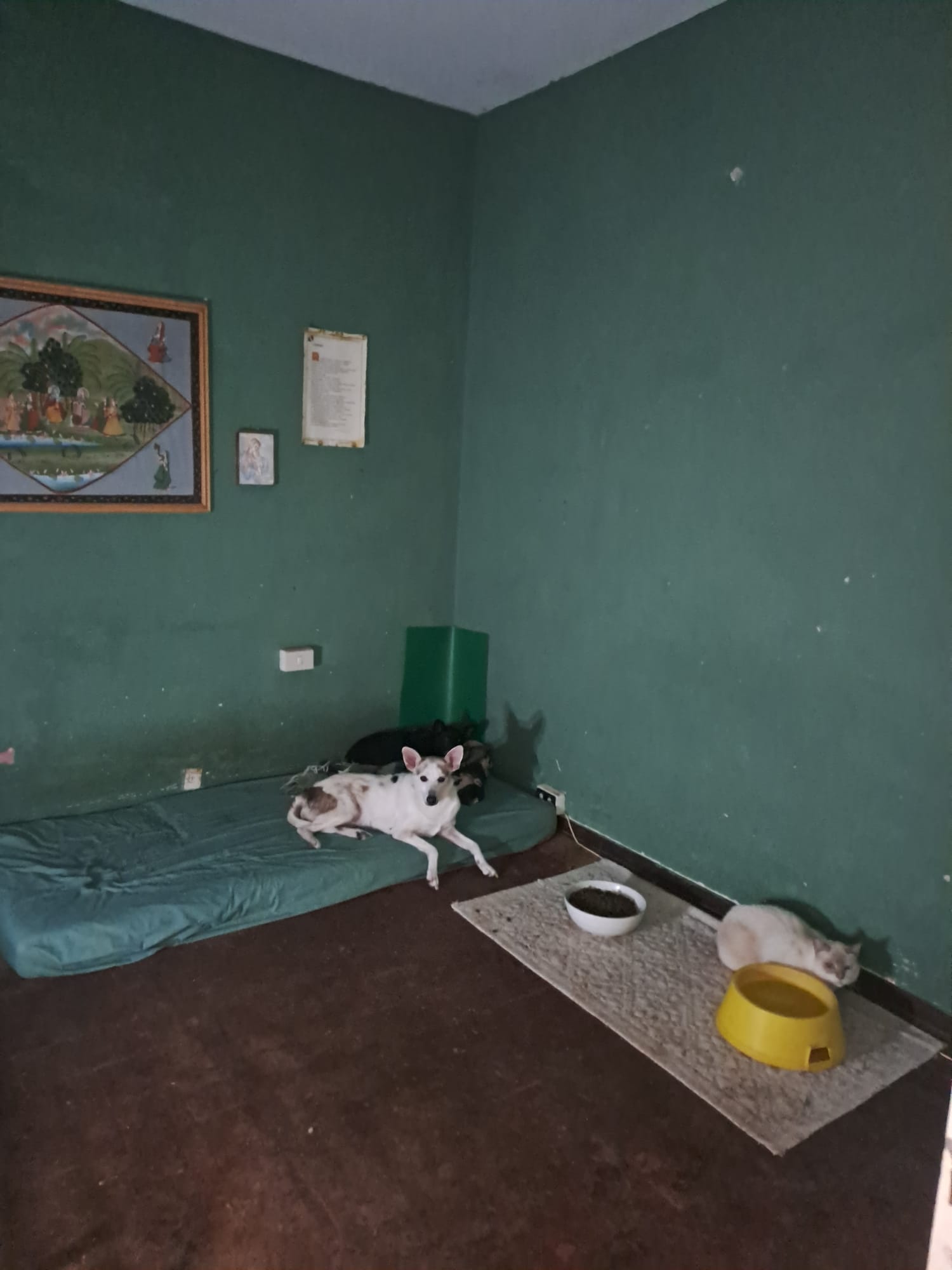 Centro Storico, 2 Bedrooms Bedrooms, ,1 BagnoBathrooms,Appartamento,Vendita,1442