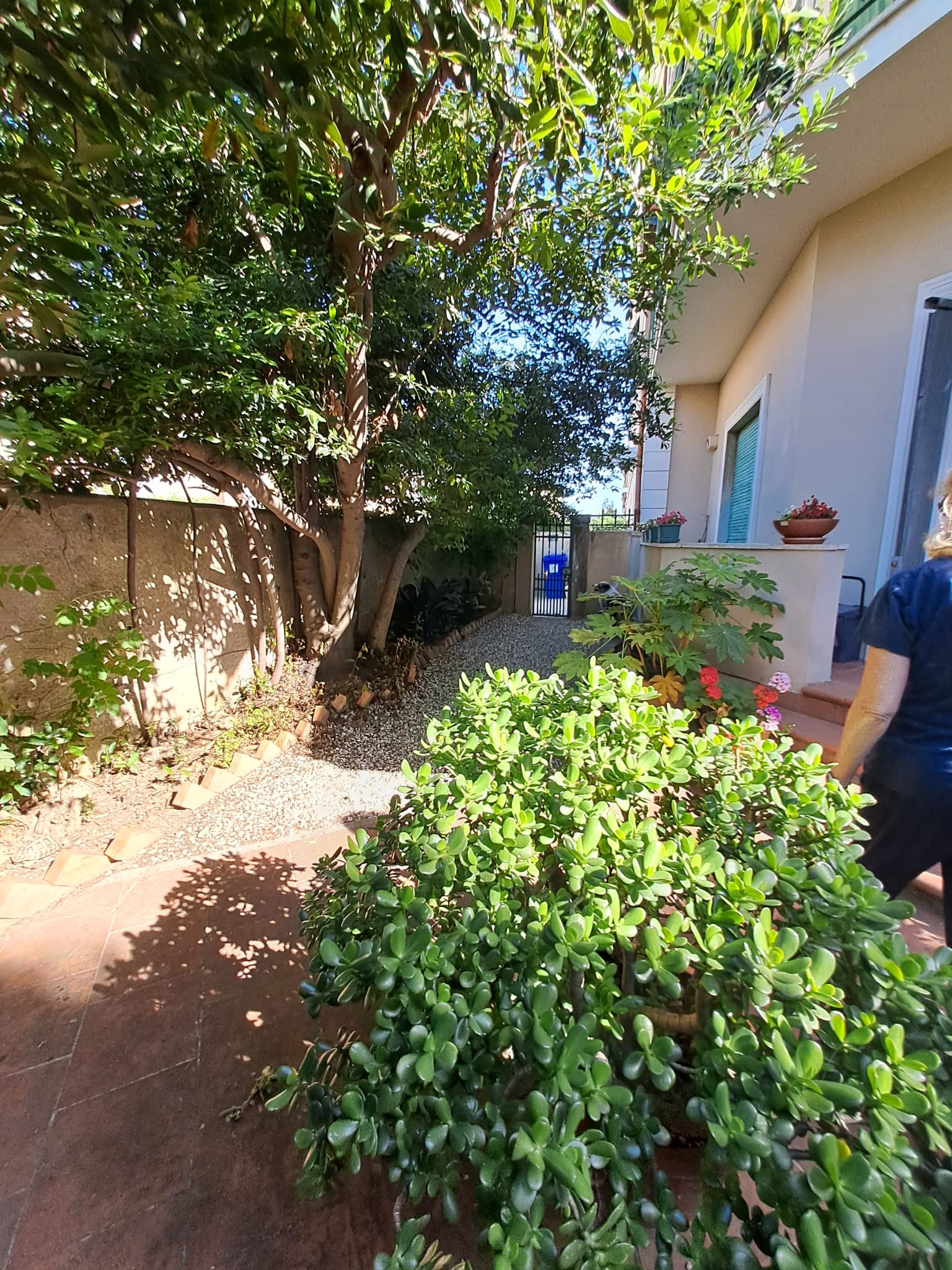 Periferia Sud, 3 Bedrooms Bedrooms, ,3 BathroomsBathrooms,Appartamento,Vendita,1477