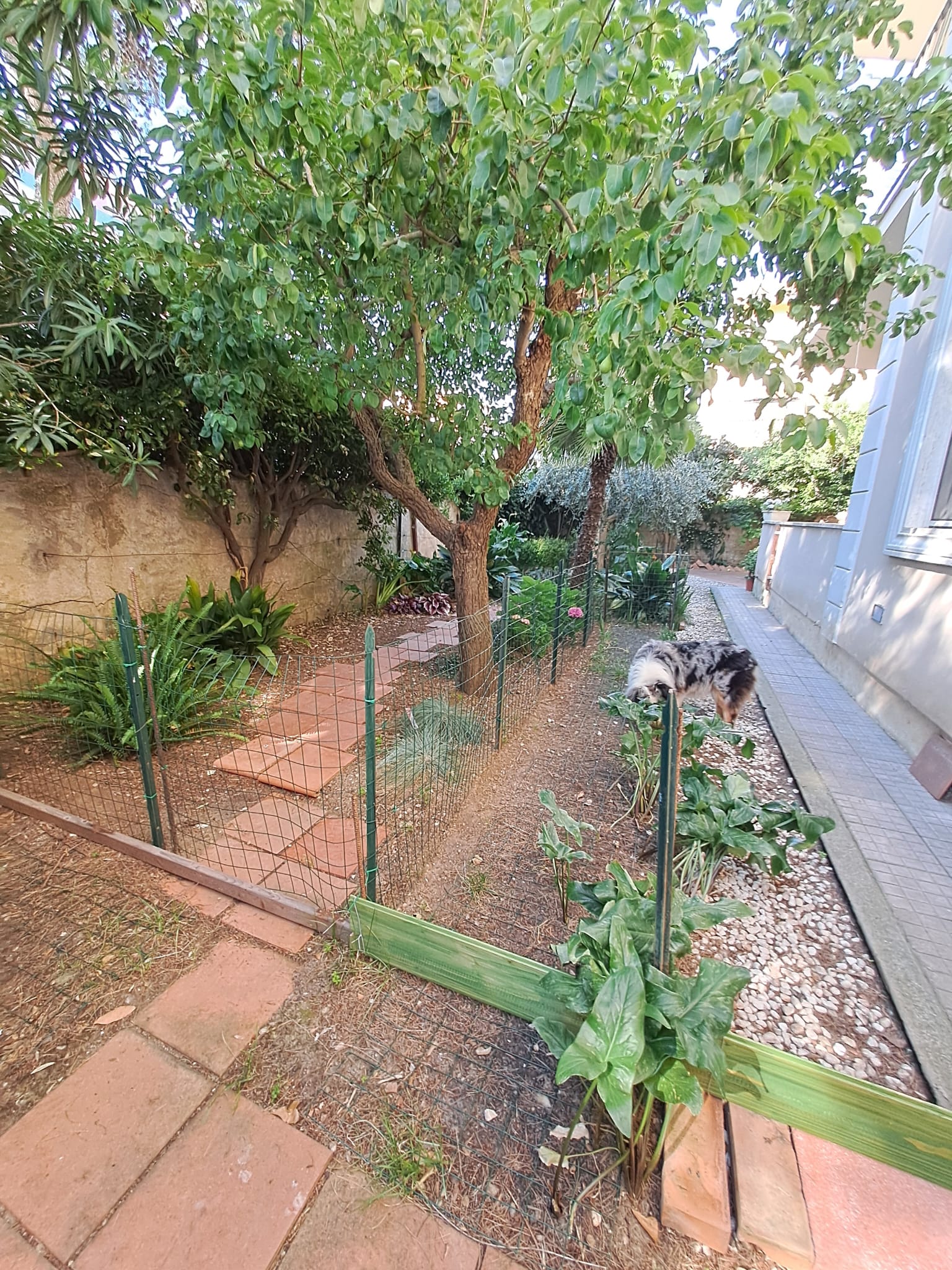 Periferia Sud, 3 Bedrooms Bedrooms, ,3 BathroomsBathrooms,Appartamento,Vendita,1477