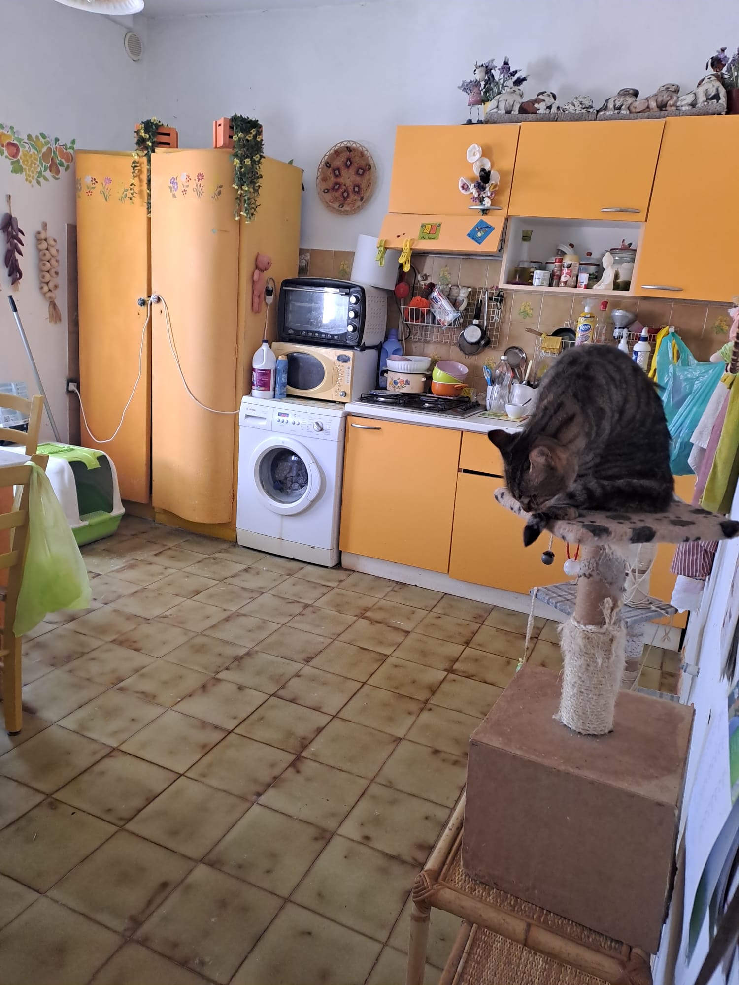 Centro Storico, 2 Bedrooms Bedrooms, ,1 BagnoBathrooms,Appartamento,Vendita,852634
